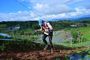 BIB: 8257
                            <button type="button" onclick="openModal(13381546)" class="btn btn-primary btn-sm float-right btn-popup" data-toggle="modal" data-target=".modal-high-quality">
                        <i class="fas fa-shopping-cart"></i> Add to Cart
                    </button>
                                            <button type="button" onclick="isThisMe(13381546, true)" class="btn btn-success btn-sm float-right btn-popup btn-isme hidden" data-toggle="tooltip" data-placement="bottom" title="นี่คือรูปของคุณใช่ไหม คลิกที่นี่เพื่อเอาเข้าอัลบั้ม">
                        <i class="fas fa-plus"></i> Add to album
                    </button>
                    <button type="button" onclick="isThisMe(13381546, false)" class="btn btn-warning btn-sm float-right btn-popup btn-isnotme hidden">
                        <i class="fas fa-ban"></i> Remove from album
                    </button>